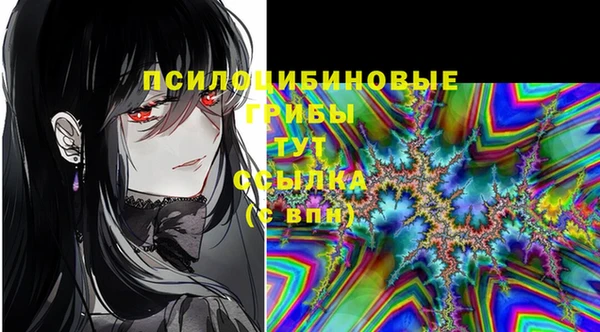 МДПВ Белокуриха