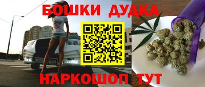 МДПВ Гатчина