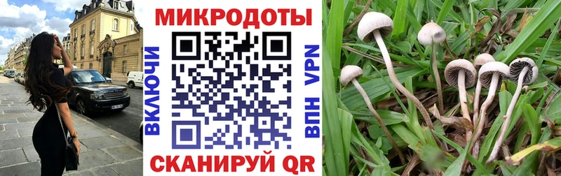 Галлюциногенные грибы Cubensis  продажа наркотиков  Гудермес 