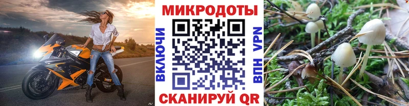 Псилоцибиновые грибы Magic Shrooms Гудермес