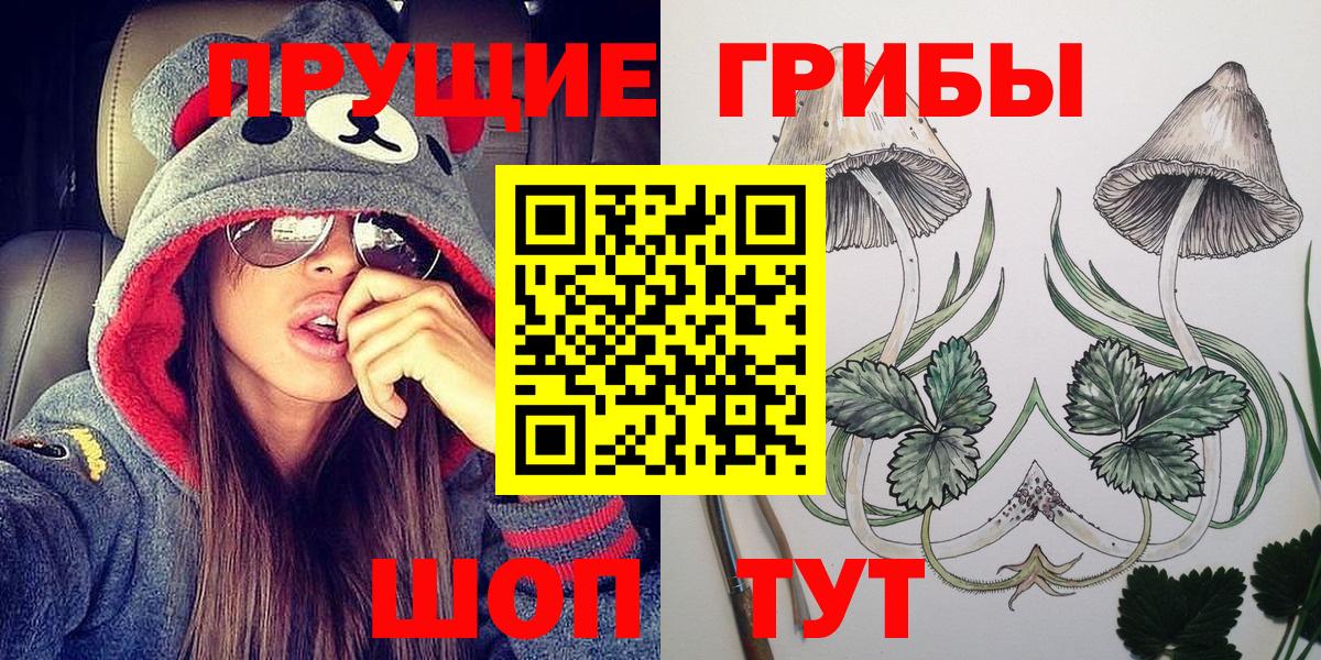 Псилоцибиновые грибы Psilocybe  Гудермес 