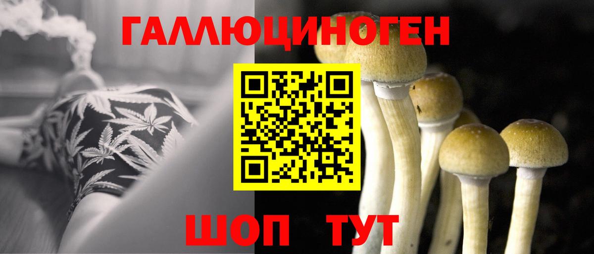 Галлюциногенные грибы мицелий Гудермес