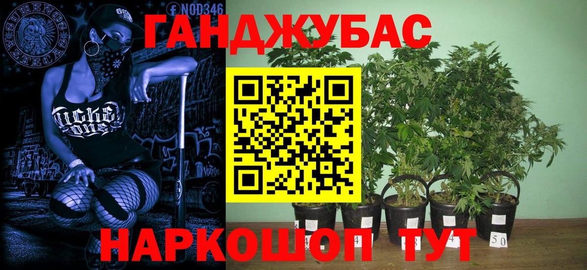 МАРИХУАНА планчик  Гудермес  Марихуана сатива  Шишки марихуана VHQ  Каннабис White Widow 